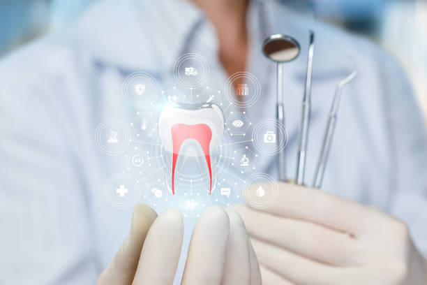 Reliable East Sonora, CA Holistic Dental Care Services Solutions
